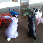 Spindeln, hajen, krokodilen, katten, grisen, hunden och kaninen står i en cirkel.