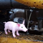 Grisen står på en traktor.